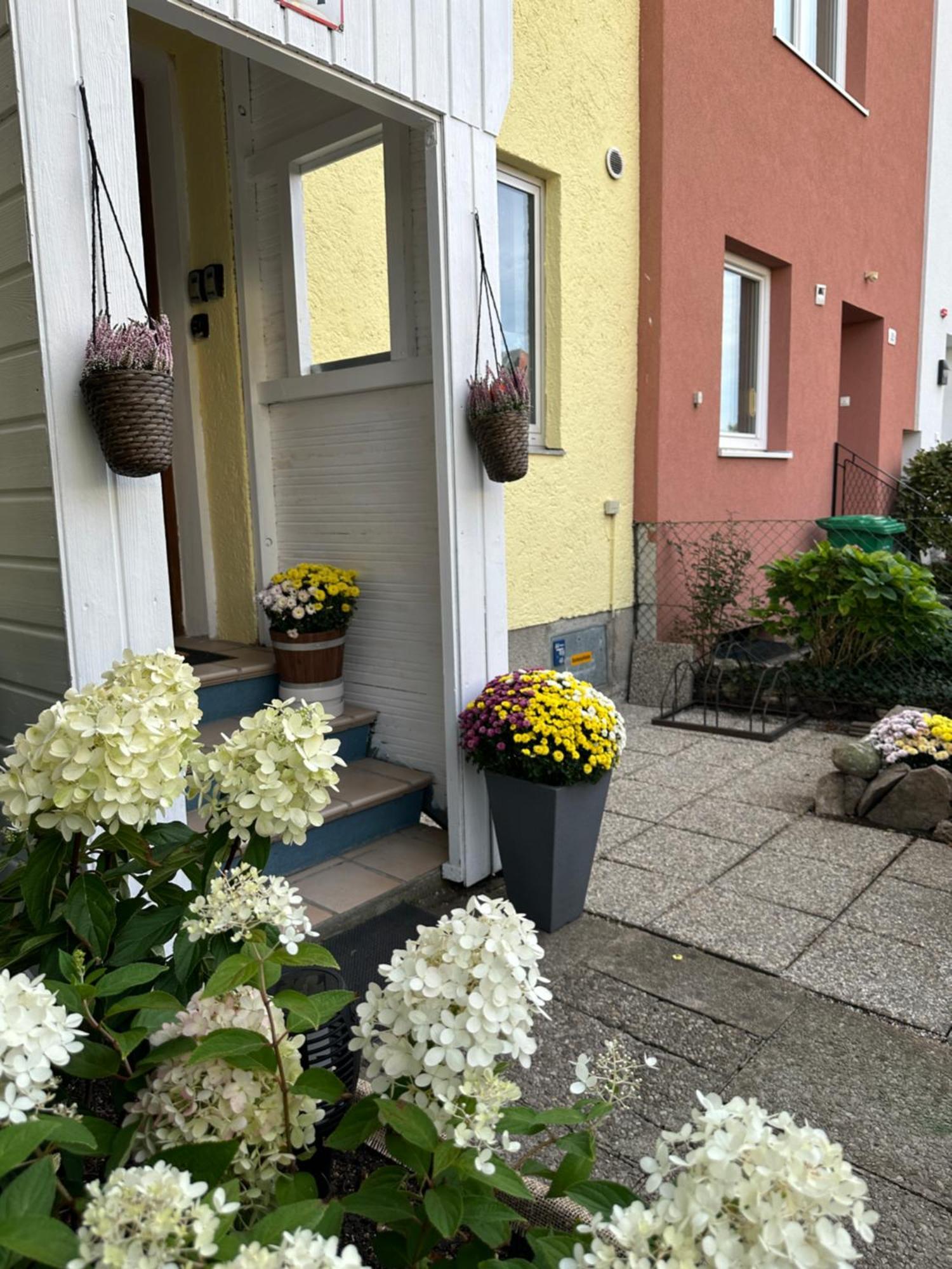 Green Paradise & Cozy Retreat Salzburg With Free Parking Eksteriør bilde